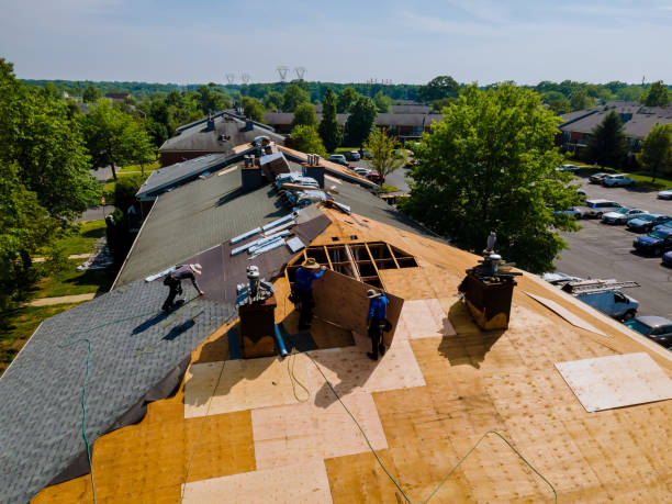 Best Emergency Roof Repair  in Manistique, MI