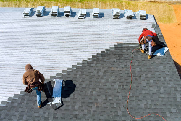 Best Roof Leak Repair  in Manistique, MI