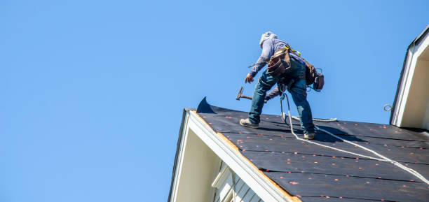 Roof Waterproofing Services in Manistique, MI